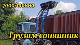 Грузим соняшник. МТЗ-82 з куном.Ціна 7000/тонна. Будні села.