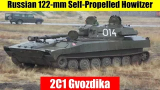 2C1 Gvozdika | Russian 122 mm Self Propelled Howitzer