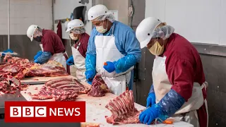 Coronavirus: Why are there outbreaks in meat processing plants? - BBC News