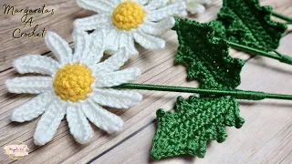 Tutorial Flor Margarita a Crochet💜Mayelin Ros