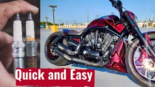 Change spark plugs for Harley Davidson V Rod #vrod #motorcycle #diy #bike #harleydavidson #