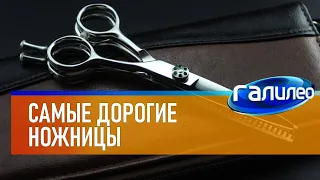 Галилео ✂ Самые дорогие ножницы