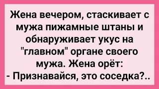 Как Жена Укус у Мужа Обнаружила! Сборник Свежих Смешных Жизненных Анекдотов!