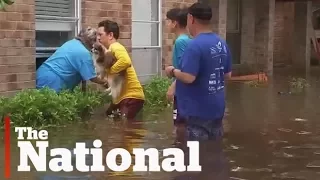 How cities can prevent flood disasters | A Dutch water expert weighs in