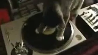 The Prodigy - Charly [Trip into Drum and Bass Version] (Funny cats versi