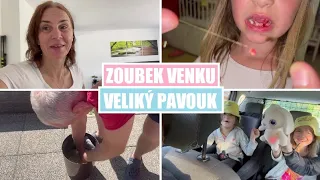 Zoubek venku, pavouk v kyblíku | MamaVlog#444 | Máma v Německu