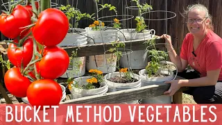 Space Saving Bucket Method - Tomatoes, Peppers, & Eggplant 🍅 || Growing Vegetables In Buckets