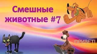 Смешные животные # 7