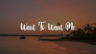 Want To Want Me, Sugar, Can't Stop The Feeling! (Lyrics) - Jason Derulo