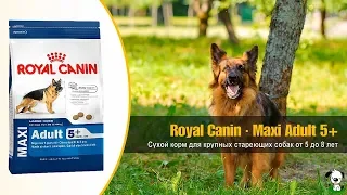 Сухой корм для стареющих крупных собак от 5 до 8 лет · Royal Canin Maxi Adult 5+