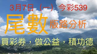 今彩539｜尾數｜牛哥539｜2022年3月7日（一）今彩539尾數版路分析內含隱藏孤支版路｜感謝版路交流@king1688 ｜#539