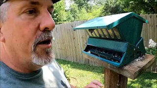 Squirrel Proof Bird Feeders Review!