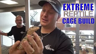 How To Build EXTREME Reptile Vivarium + Aqualand Tour