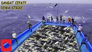 SANGAT CEPAT DEWA STRIKE MANCING IKAN TUNA DI LAUT LEPAS | MANCING YANG MENGAGUMKAN