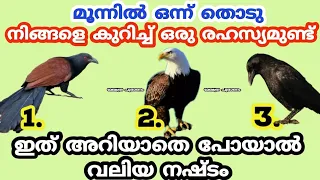 Thodukuri. ഇതറിഞ്ഞാൽ ജീവിതം  രക്ഷപ്പെടും 100% ഉറപ്പ്. തൊടുകുറി. Jyothisham