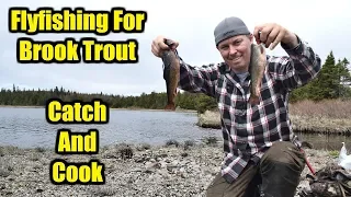 Fly Fishing For Brook Trout / Catch And Cook