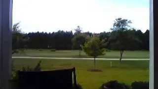 Bigfoot Sighted at Golf Course! Must See!