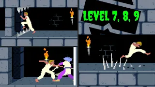 Prince of Persia - levels 7 - 9 (retro pc game- ms dos)