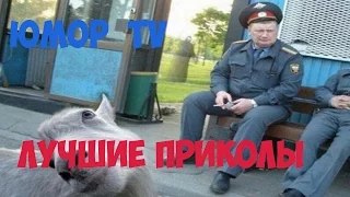 Лучшие приколы  за июнь #1