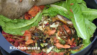 8 week time lapse of Wormery. Kitchen waste being turned into compost