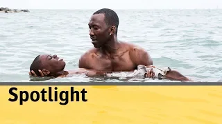 The Cinematography of Barry Jenkins with James Laxton | Spotlight