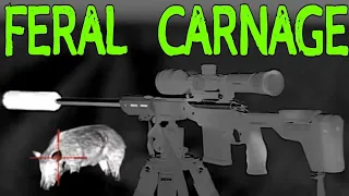 308win Feral Carnage: Unleash The Beast || Bolt action rifle shooting