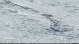 Icelandic river monster caught on tape?