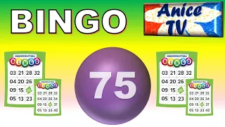 BINGO Blast: 75 Ball Caller