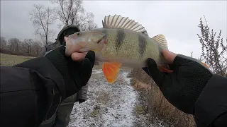 Вот это Окунь!!Закрываю сезон открытой воды 2020.