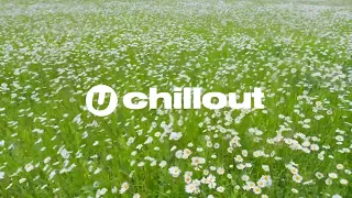 Chill Spring Lofi Vibes: Relaxation Music For A Serene Season