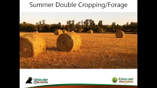 Get Double Benefits with Cover Crops as Forages