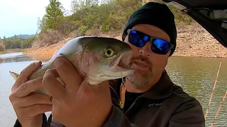 Power Trolling Small Spoons For Rainbow Trout