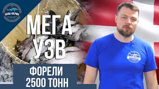 Обзор мега УЗВ форель на 2500 тонн