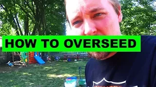 Fall Lawn Overseeding the Easy Way