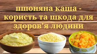 ПШОНЯНА КАША: КОРИСТЬ І ШКОДА ДЛЯ ЗДОРОВ'Я ЛЮДИНИ