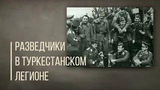 Разведчики в Туркестанском легионе? М.Чокай агент Польши Часть 2. Дорога людей