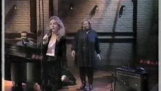 Judy Collins "Fires Of Eden" A&E 1990