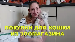 ПОКУПКИ ДЛЯ КОШКИ ИЗ ЗООМАГАЗИНА | НОВИНКИ ДЛЯ КОШЕК