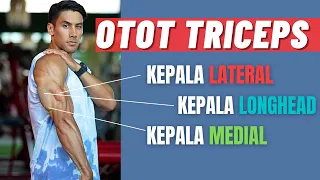 NONTON INI SEBELUM KAMU LATIHAN OTOT TRICEPS