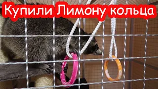 Классные покупки в зоомагазине