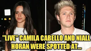 Niall Horan Says He Knew Camila Cabello Ran a One Direction Fan Twitter Account.