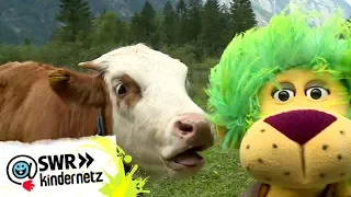 Ferien auf der Alm - Kühe | OLI's Wilde Welt | SWR Kindernetz