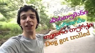 ვარძია, აბასთუმანი, წიწაკები, Dog Life / 2 დღიანი ექსკურსია | NikaTMG VLOG