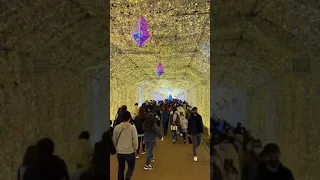 Tokino Sumika Gotemba, Japan 🇯🇵🇯🇵🇯🇵🇯🇵🇯🇵 illumination tunnel!!