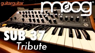 Moog Sub 37 Tribute Analogue Synth Demo