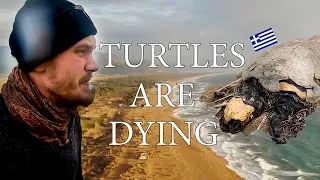 Turtles are dying in Greece | Van life vlog | 2021 Travel