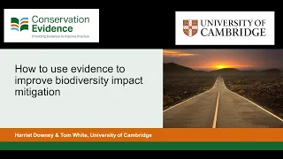 How to use evidence to improve biodiversity impact mitigation