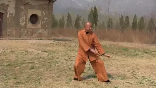Shaolin Wugulun Kungfu - Lesson 1: Standing Exercises