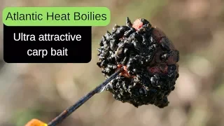 Carp Fishing - Atlantic Heat freezer boilies