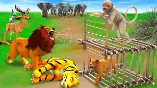 शेर के बच्चे की चोरी बंदर और बाघ Tiger Steals Lion Cub & Monkey Sher Ki Bache Ki Chori Bandar Bagh